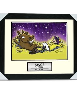 Framed Print & Plaque 20x16