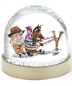 Snow Globe