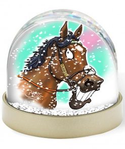 Snow Globe