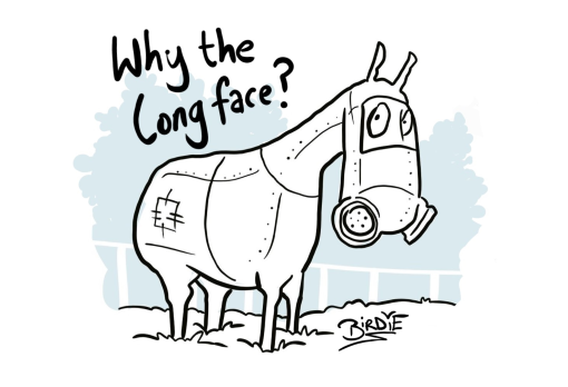 Why The Long Face?